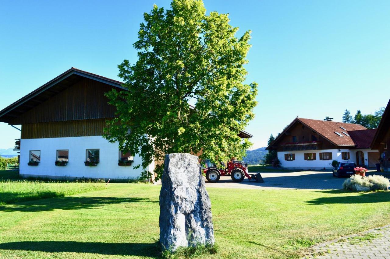 Ferienwohnung Arnold Scheidegg Esterno foto